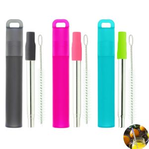 2/3Pcs Portable Reusable Telescopic Travel Straws with Case and Cleaning Brush Collapsible Stainless Steel Drinking Straw