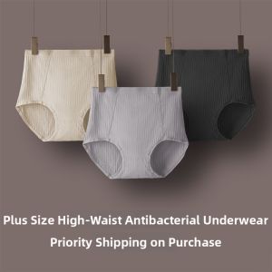MsPai | Large Size High Waist Pure Cotton Innerwear