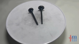 Payung klep grand supra fit legenda GN5 X TMW M1257