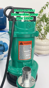 1300W DC Pump Submersible Pump 220V 10M Hose High Head Large Flow Household Small Submersible Pump