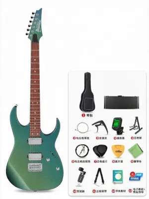 Ibanez | Beginner Friendly Electric Guitar