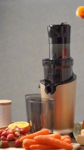 SLOW JUICER ECOHOME PENGEKSTRAK BUAH ESJ-999