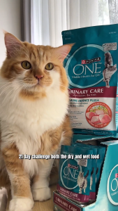 [Ready Stock] Purina One Pouch Cat Wet 70G - Bundle Deal 12 24 Pack  Urinary Care Adult Healthy Adult Chicken Ocean Fish 70G Kitten - Paw Loves