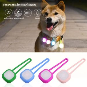 สัตว์เลี้ยงกันน้ํา LED Walking Night จี้แขวนซิลิโคนสัตว์เลี้ยงจี้ที่มีสีสัน LED Light สุนัขจี้ Night Light