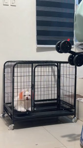 Greenpets Dog Cage XXXL Sturdy Impact Resistant Large Space Crate Black With Wheels Multi-Door Dog Crate