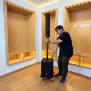 River Acoustics G12 River G12 ลำโพงคอลัมน์แอคทีฟ ซับ 12 นิ้ว มิกเซอร์ในตัว 3 ช่อง บลูทูธ ATProsound