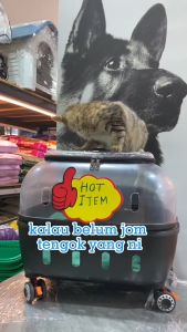 Modern Ventilated Pet Carrier Suitcase / Pet Luggage / Pet Carrier / Cat & Dog Bag