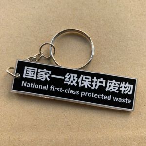 Fun Protective Waste Acrylic Keychain High Aesthetic Value Trendy National Decorative Pendant Creative Gift Festival Supplies