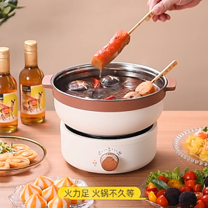 Portable Electric Hot Pot 2.5L Detachable Stainless Steel Cooker with Dual Heat Control Travel Dorm Camping Non-Stick Multi Cooker Kuali Listrik - Malaysian Plug