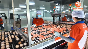 Trứng gà Pinky Egg hộp 10 quả nhãn hồng