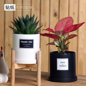 Modern Creative Ceramic Cylindrical Plant Pots with Tray Indoor Desert Plants Tall Flower Pots Nordic Style Simple Design