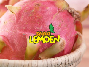 Suur Lemoen - Cuka Buah Naga 500 ML Original