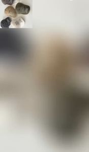 Mũ lưỡi trai cho bé trai chất kaki thêu chữ phong cách hàn quốc 1 đến 5 tuổi WELCOME BERNIE