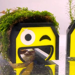 🇸🇬 Emoji Shelter - 😊 3D Printed Aquarium Accessories That Suit Your Needs