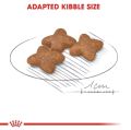 Royal Canin Mini Adult 2kg/4kg. 