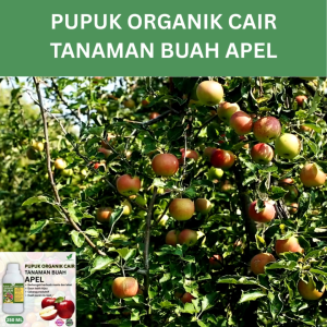 Pupuk Buah Apel 250 ML /Pupuk Booste Apel gkeng Cepat Berbuah Lebat/Pupuk Cair Apel