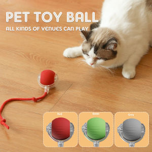 BC Cat Interactive Ball Toys Automatic Rolling Ball Faux Tail Rechargeable Smart Pet Electric Toy Dog Cat Training Imitate Mouse