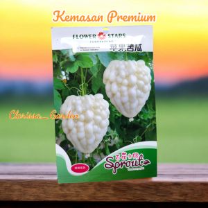 (KEMASAN PREMIUM) BIJI | BENIH PARE PARIA PUTIH APEL ( isi -+5 butir)