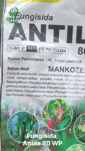 ANTILA 80WP KEMASAN 1 KG Mancozeb Fungisida Obat Pengendali Penyakit Jamur Pada Pertanian Perkebunan