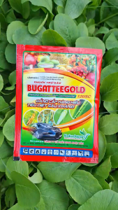 [VTNN TIEN KHOA] BUGATTEEGOLD 120SC Của Naka Nhật Bản – Trừ Sâu Cuốn Lá Sâu Tơ Rầy Xanh Bọ Trĩ Hiệu Quả