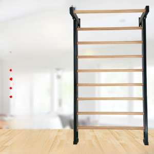 Rib Frame Indoor Lateral Bending Orthopedic Exercise Wall Installation Wall Bars Scoliosis Correction Frame Yoga Leg Pressing Bar