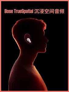 Bose | True Wireless Bluetooth Noise-Canceling Headphones Ultra II 4