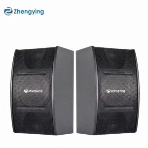 BONINGYU | High-End Home Karaoke 10 Inch Passive Speaker