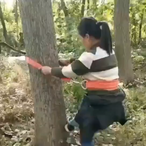 Proyek Industri Safety Belt Sabuk Pengaman Panjat Tiang Listrik Untuk Panjat Pohon