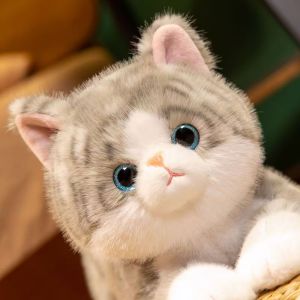 Đồ Chơi Búp Bê Gấu Hình Mèo Cưng Đồ Chơi Lông Nỉ Hình Con Bò Và Thỏ Đồ Chơi Búp Bê Cho Bé Trai Và Bé Gái Quà Tặng Sinh Nhật Đồ Chơi Búp Bê Hình Mèo Cưng