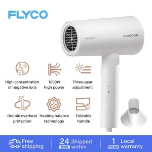 Flyco 1800W Anion Hair Dryer for Men Women Professional Foldable Portable Strong Wind Salon FC627/6277