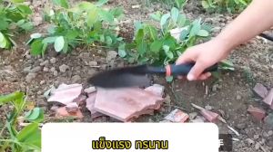 อุปกรณ์แต่งสวน ทำสวน พลั่ว เสียม ช้อนพรวนดิเครื่องมือทําสวน พลั่วขนาดเล็กสามตัวสําหรับการกําจัดวัชพืชและการปลูก เหมาะสําหรับงานสวนในบ้านและงานฟาร์ม