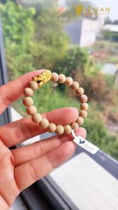 Vòng tay VEGAN Trầm Hương Thuần Chay tốc kiến mix Đầu Rồng 8mm 2024