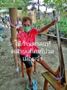 ไม้ก้านตาลคลายเส้น1อันยาวๆแก้อาการปวดเมื่อยเส้นตามร่างกายเป็นช่วงโปรโมชั่นปี2025นี้เท่านั้นจ้าไม้ใหม่ปีนี้