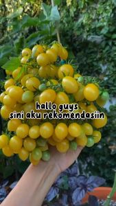 Pupuk Agro Lestari Pupuk Pertumbuhan dan Pembuahan