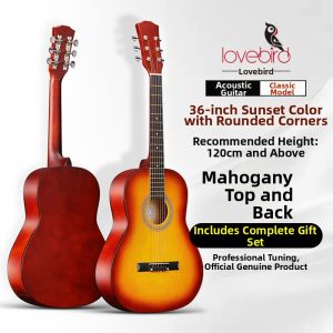 Lovebird | Beginner Folk Guitar 38 inches