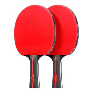 Double Fish | Beginner Friendly Table Tennis Racket Single Horizontal Blade