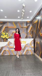 Đầm xòe - Y1793 - Thương hiệu Zonbig