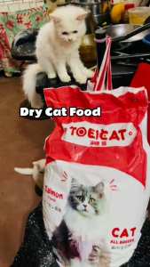 20kg Toei Cat Premium Dry Food All Stages Adult Kitten Brain Vision Development Pet Toeicat Cats