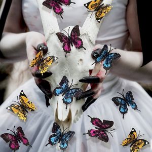 ตกแต่งวันฮาโลวีน 3D สีสันสดใส กระดูกสันหลัง รูปดอกกุหลาบ ผีเสื้อ ตกแต่งบรรยากาศ ติดผนัง ตกแต่งฉากงานปาร์ตี้