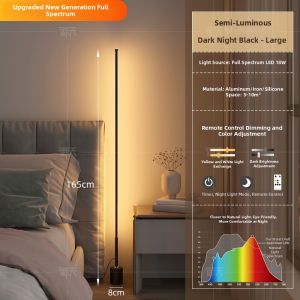 Zakki Style Floor Lamp