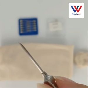 EliteVet 12 pcs Veterinary Gauge Needles: Hypodermic Stainless Reusable Solutions