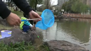 Telescopic Butterfly Net 85cm Stainless Steel For Insect Catching Fishing Toy