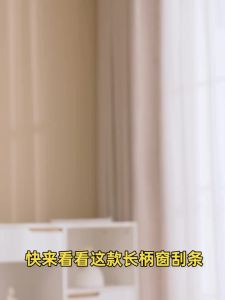 Công Cụ Lau Kính Hai Mặt Mới