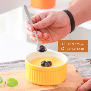 MaxPlus Kitchen Colorful Ceramic Striped Bowl For Baking Or Serving Small Large
