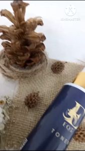 Eq5 skincare - Toner Brightening 60ml BPOM