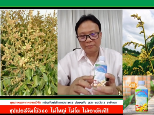 ปุ๋ย ซุปเปอร์จัมโบ้ 360 นิกรเทคโนการเกษตร อาหารจากพืชธรรมชาติ สูตรเข้มข้น เร่งโต เร่งราก ลำต้น ขยายผลได้รวดเร็ว ปุ๋ยเร่ง ใช้กับพืชทุกฉนิด ลำไย ลิ้นจี่ ส้ม หอม กระเทียม ยางพารา ข้าว 1 ขวด 120 ซีซี ผสมน้ำได้ 200-400 ลิตร