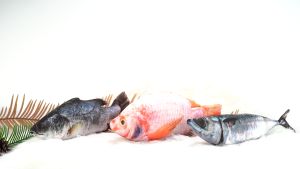 ตุ๊กตาปลา แบบตบ ผลิตจากใยคู่และเล่นสัตว์เลี้ยง สีสันสดใส น่ารัก คนรักแมวต้องเปย์  ราคาที่สม่ำเสมอ