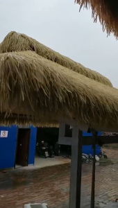 แฝกเทียม ยาว10เมตร แฝกมุงหลังคา หญ้าแฝก หลังคาหญ้าเทียม ฟางเทียม แฝกเนื้อเหนียว กัน UV หลังคากันแดด