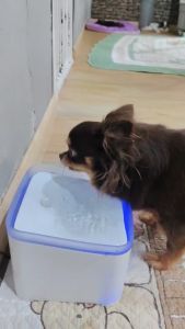 น้ำพุแมว น้ำพุสัตว์เลี้ยง แถม!!!ไส้กรอง 2ชิ้น และ ฟองน้ำกรองหน้าปั๊ม 4ชิ้น ฟรี!!