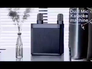 Philips Karaoke Wireless Portable Dual Microphone: A Professional 3D Stereo Surround Smart Mini Karaoke